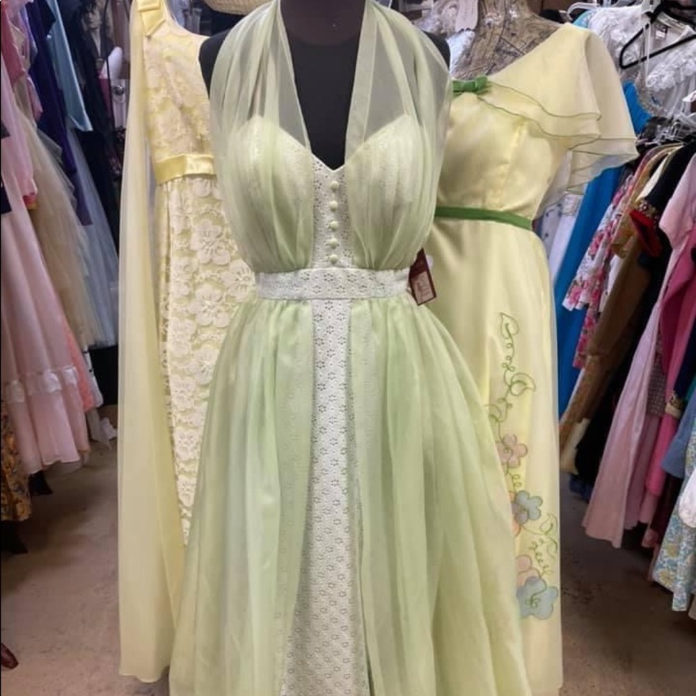 Vintage Gown - Picture 1 of 5